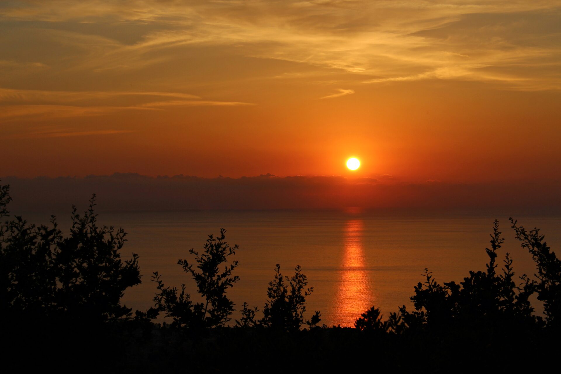 Il Corbezzolo Tropea Residence — foto 5