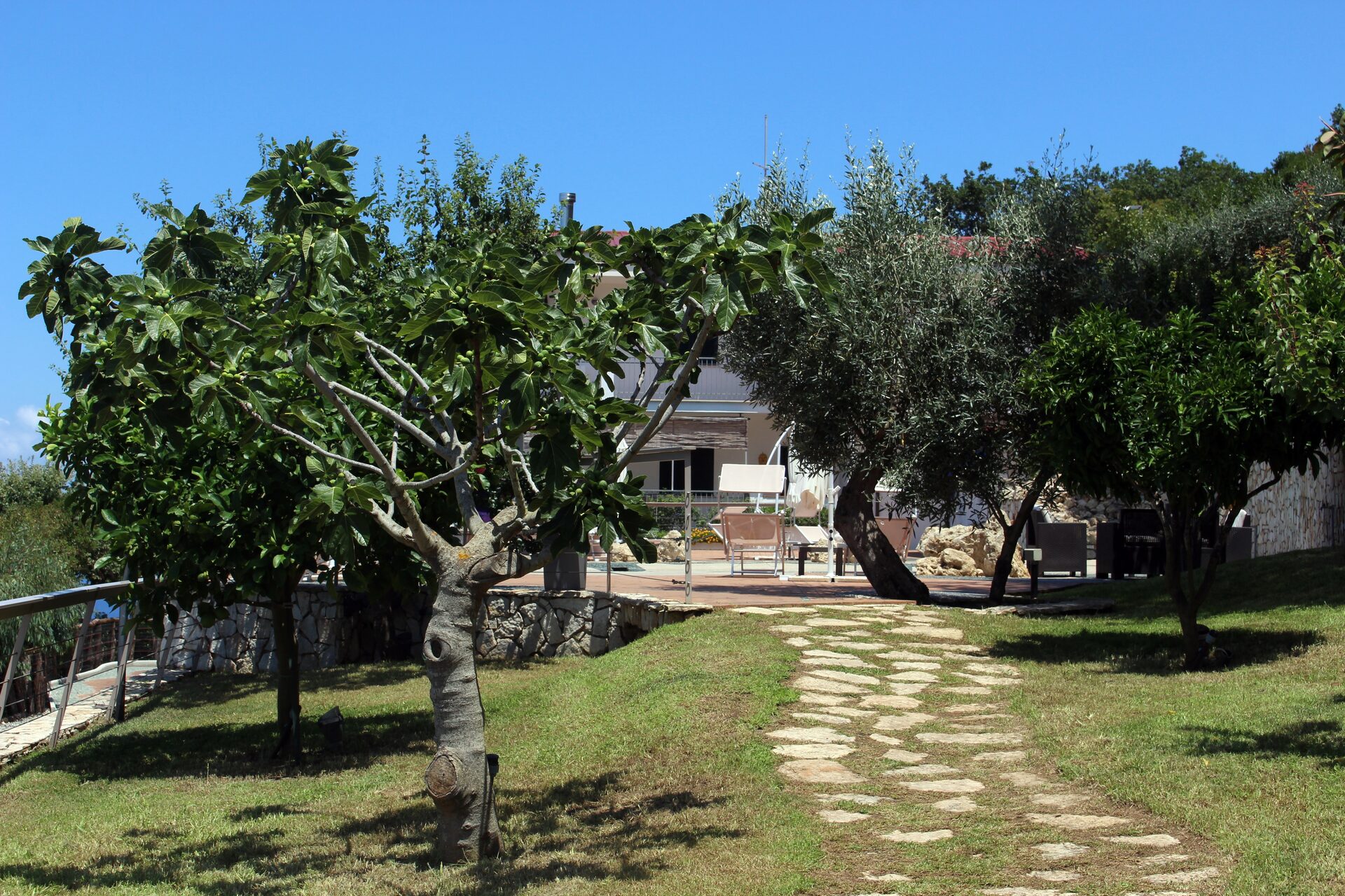 Il Corbezzolo Tropea Residence — foto 8